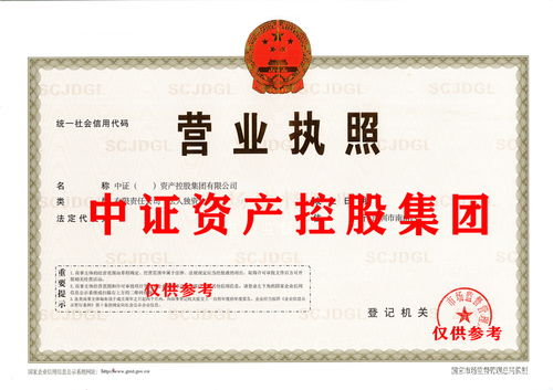 商務信息咨詢 企業決策的導航與智慧引擎